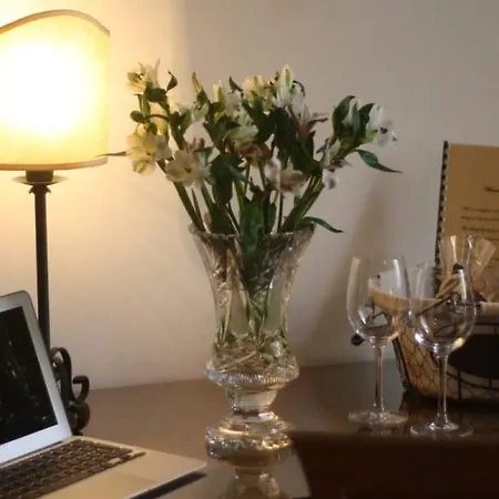 Residenza Millennium 酒店 佛罗伦萨