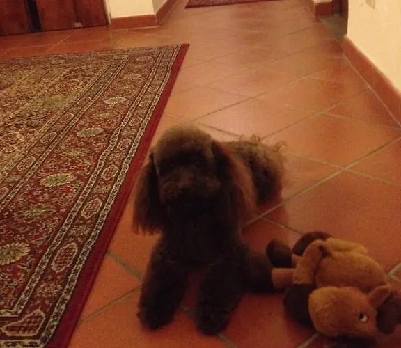 Residenza Millennium Hotel