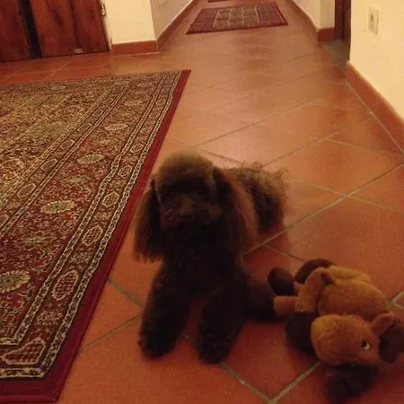 Residenza Millennium Hotel