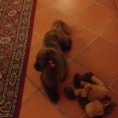 Hotel Residenza Millennium